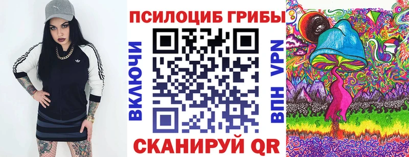 Псилоцибиновые грибы Psilocybe  где купить наркоту  Вязьма 